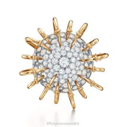 Tiffany Apollo Brooch Unisex 0J0F1981 Jewelry in Yellow Gold and Platinum with Diamonds