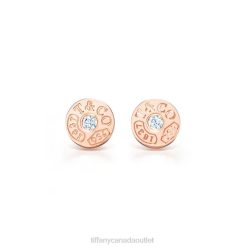 Tiffany Circle Earrings Unisex 0J0F953 Jewelry