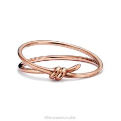 Tiffany Double Row Hinged Bangle Unisex 0J0F1162 Jewelry in Rose Gold