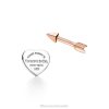 Tiffany Lovestruck Heart Tag & Arrow Earrings Unisex 0J0F724 Jewelry in Silver and Rose Gold