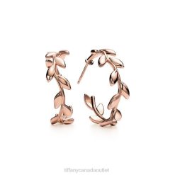 Tiffany Olive Leaf Hoop Earrings Unisex 0J0F797 Jewelry