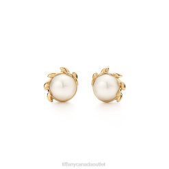 Tiffany Olive Leaf Pearl Earrings Unisex 0J0F835 Jewelry