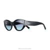 Tiffany Oval Sunglasses Unisex 0J0F2592 Accessories in Black Acetate