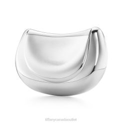 Tiffany Saddle Clutch Unisex 0J0F2388 Accessories