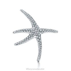 Tiffany Starfish Brooch Unisex 0J0F1990 Jewelry
