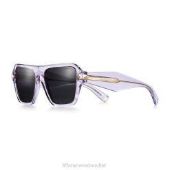 Tiffany Sunglasses Unisex 0J0F2498 Accessories in Violet Acetate with Dark Gray Lenses